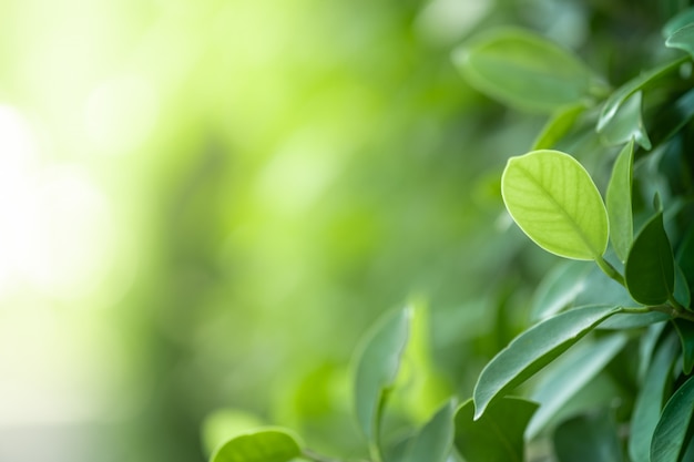 教程开挂辅助“菠萝德州有没有挂”附开挂脚本详细步骤