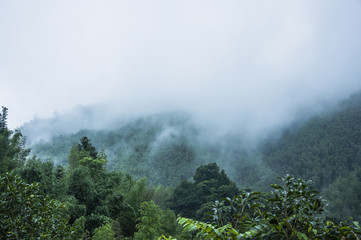 玩家辅助神器：“三娃大厅有挂吗”开挂详细教程